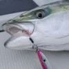 ジギングのアシストフックが青物の口元に掛かったアイキャッチ画像