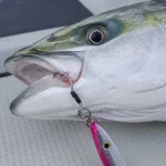 ジギングのアシストフックが青物の口元に掛かったアイキャッチ画像