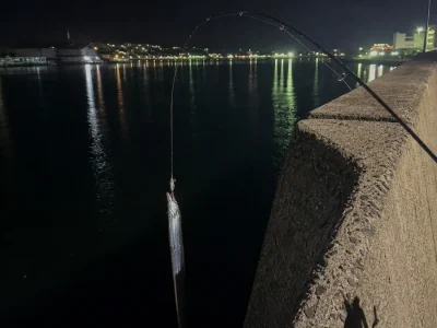 夜の高い堤防で太刀魚を抜き上げる時にロッドが大きく曲がっている様子