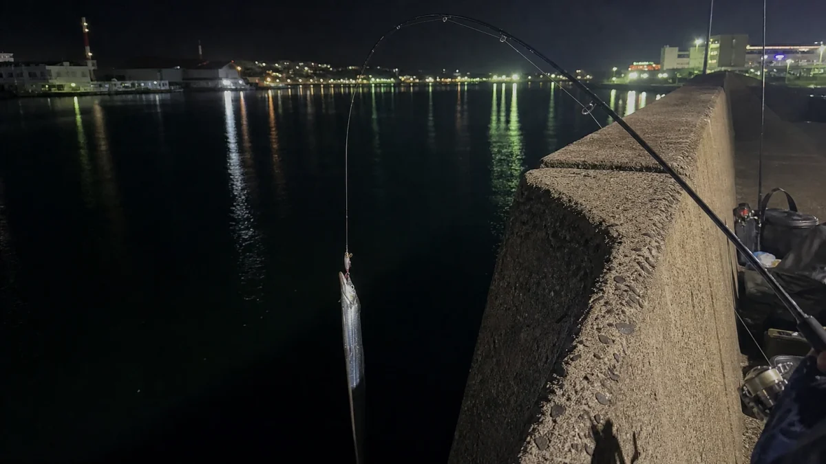 夜の高い堤防で太刀魚を抜き上げる時にロッドが大きく曲がっている様子